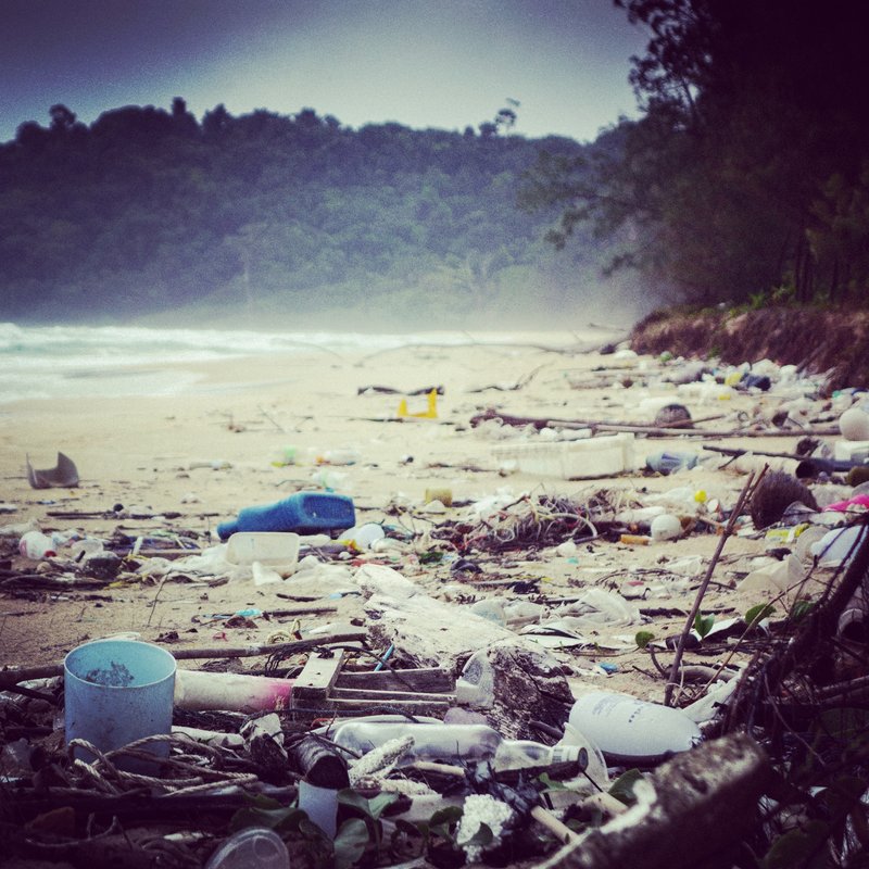 Imagine this beach without the trash