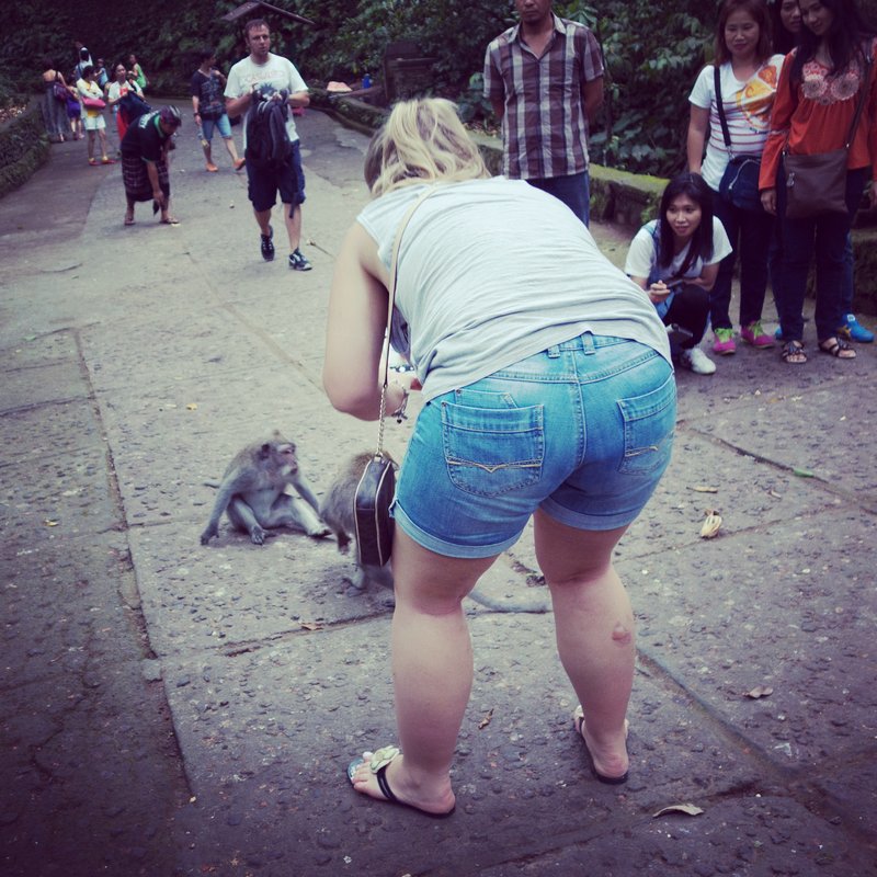 Tourist taking picture of monkey in monkey forest